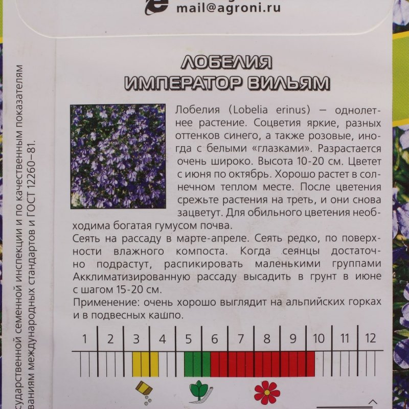 Лобелия кардинальская