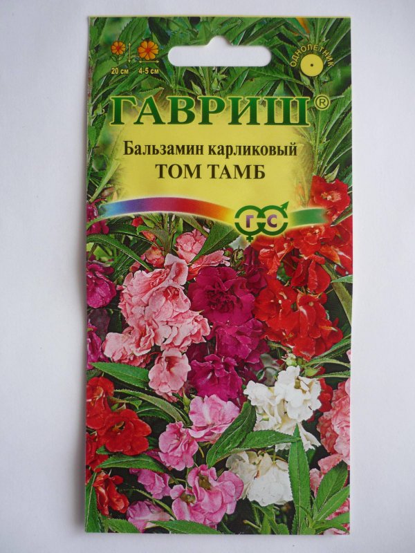 Бальзамин садовый Камелия