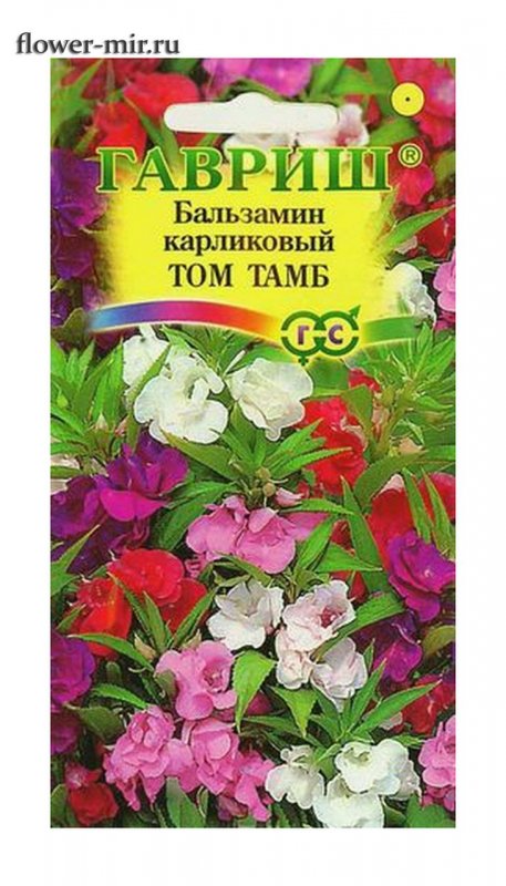 Бальзамин садовый Камелия