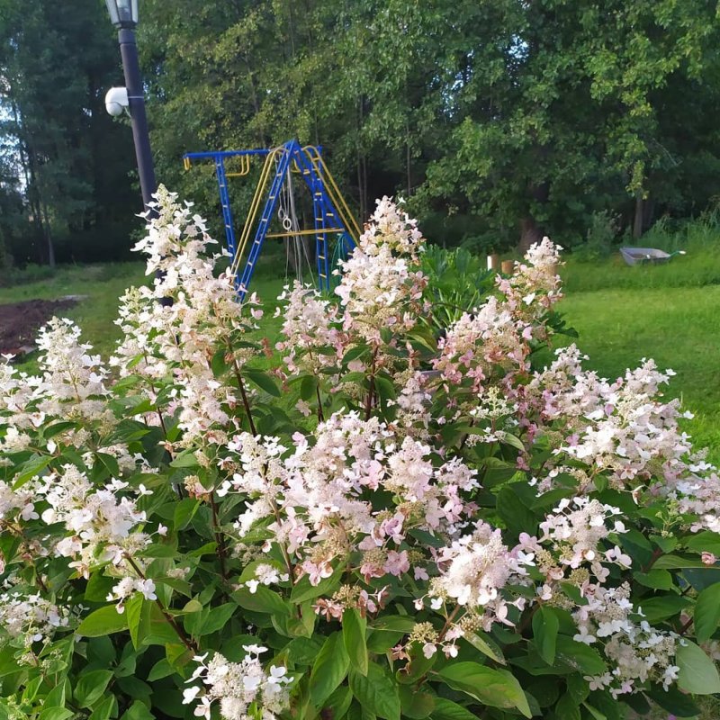 Лидия Анатольевна Лещукова Самара