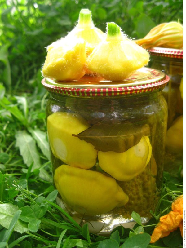 Патиссон сынишка