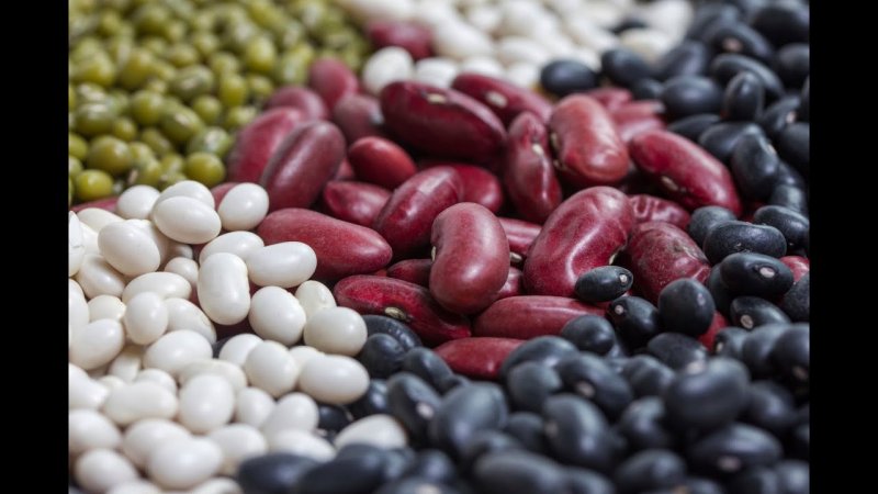 Продукты из бобов
