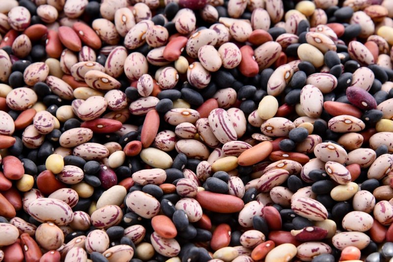 Beans Pulses