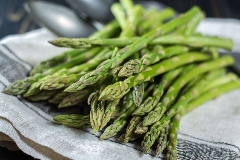 Спаржа Asparagus l.