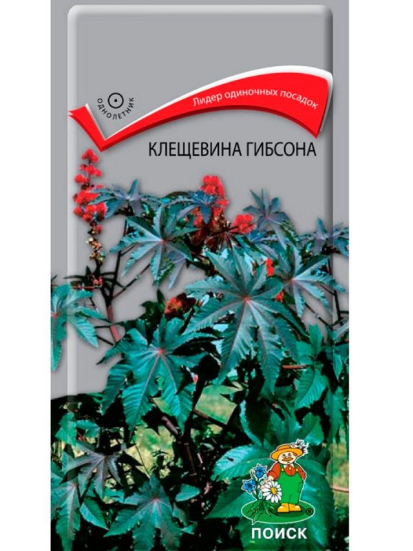 Клещевина (Ricinus)