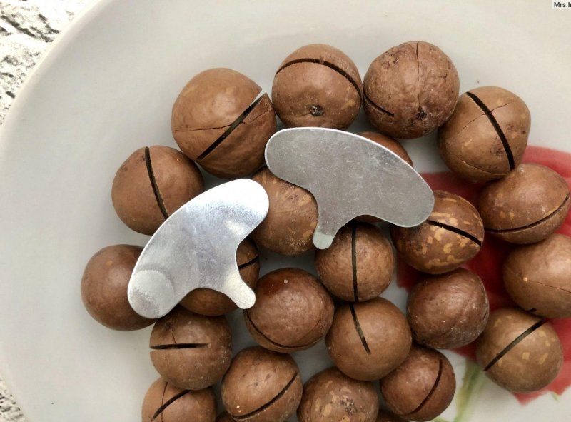 Макадамия орех Родина