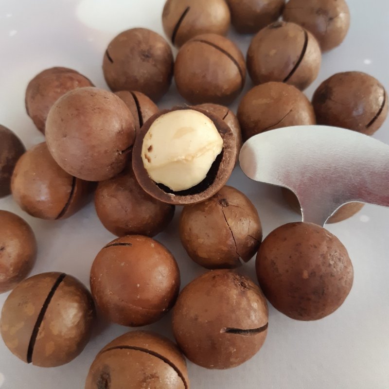 Macadamia Nuts