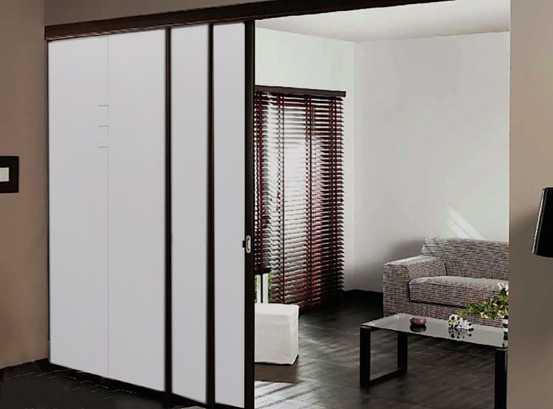 Дверь Glass Sliding Door