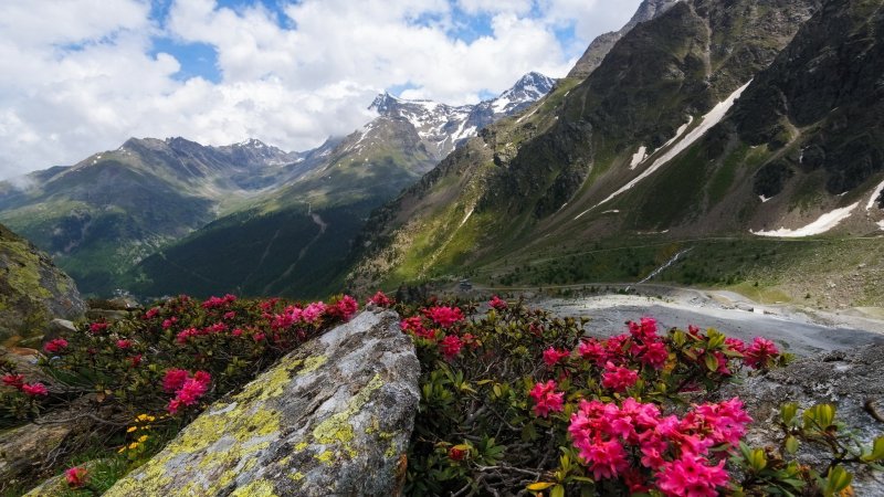 Альпийские Луга Лагонаки