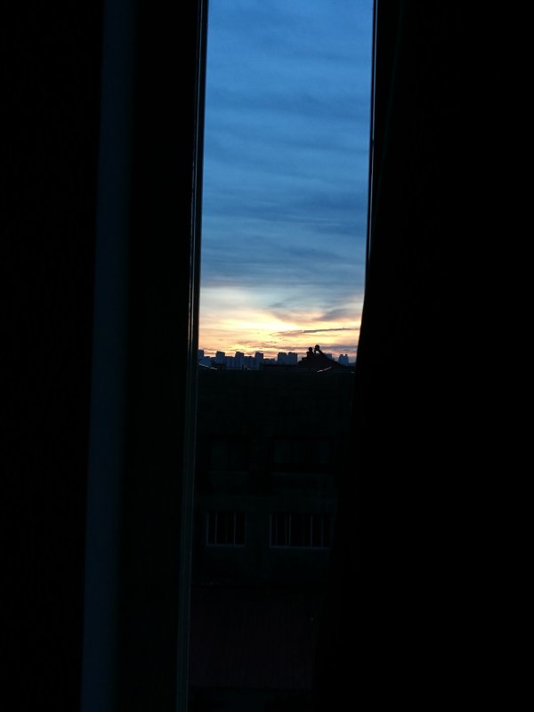 Ночное небо вид из окна