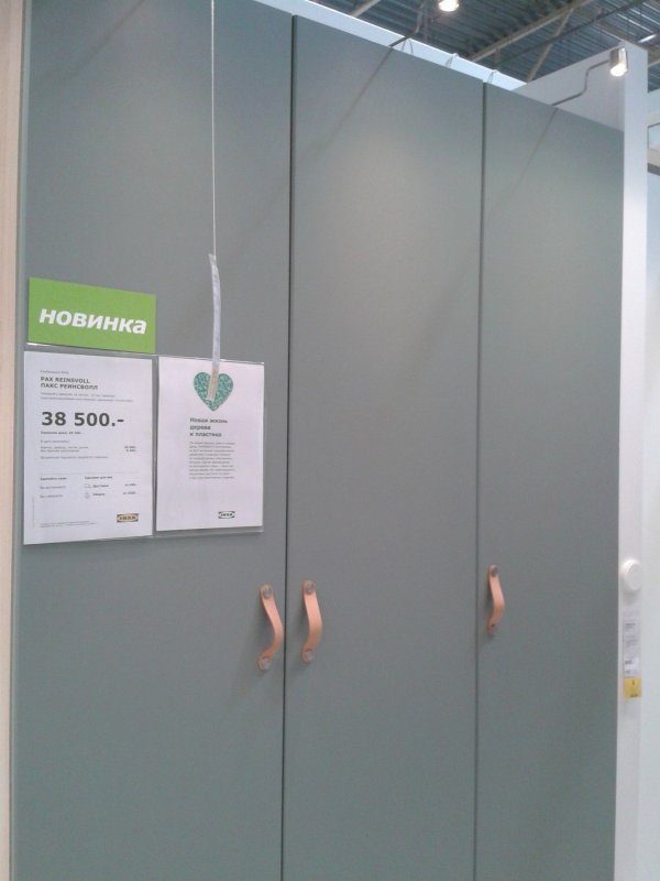 Reinsvoll РЕИНСВОЛЛ дверь, серо-зеленый50x229 см