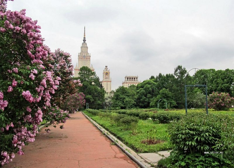 Ботанический парк МГУ