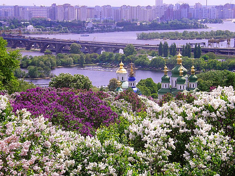 Ботанический сад Киев