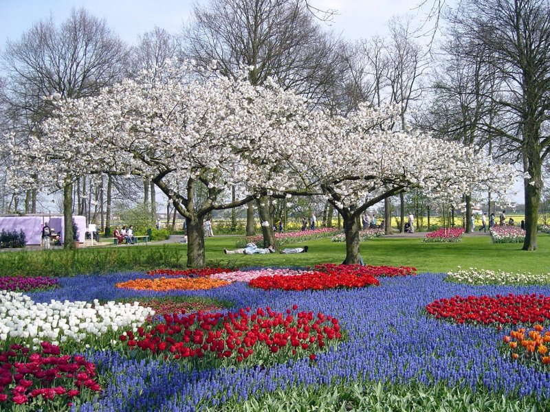 Нидерланды весенний парк Keukenhof