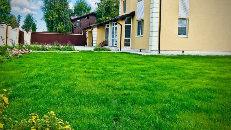 Газон перед домом
