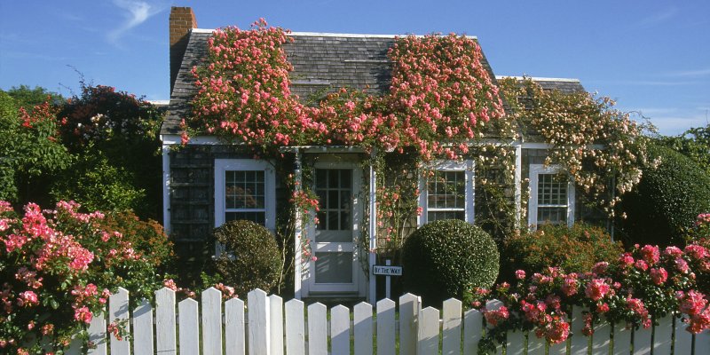 Коттедж Роуз Cottage Rose