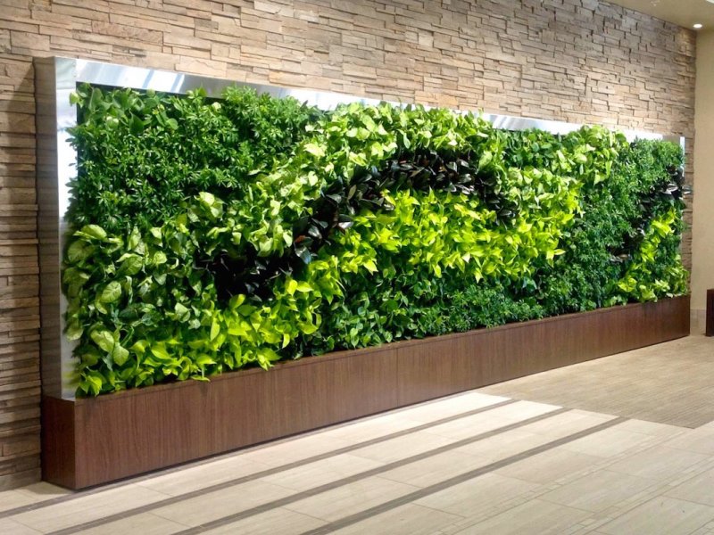 Green Sun фитостены