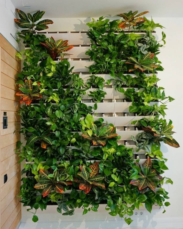 Фитомодули Flatwall