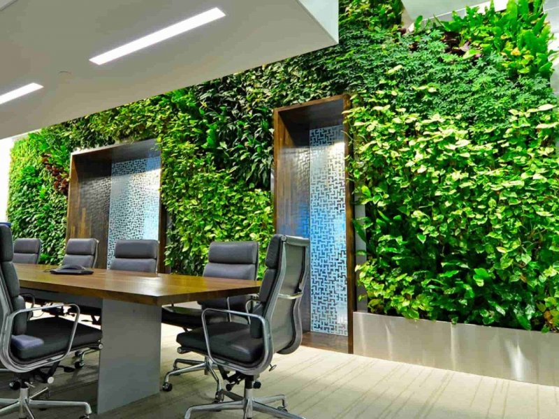 Green Sky фитостены