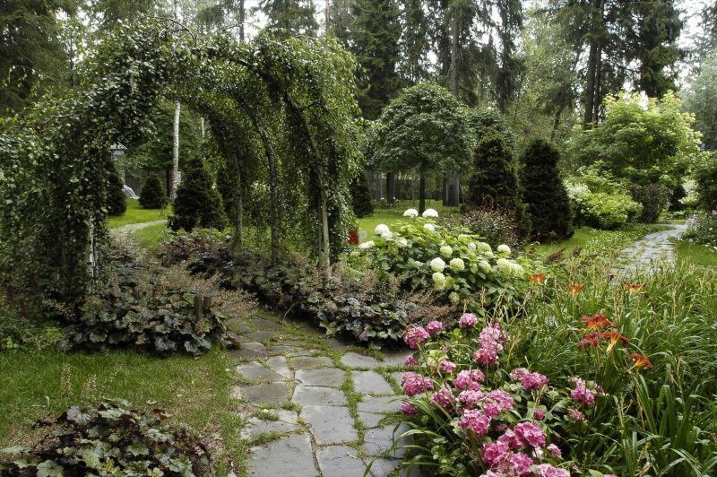 Хелен парк+ ландшафт