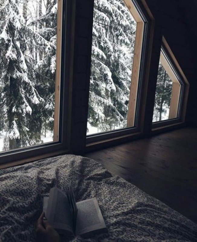 Панорамное окно с зимним видом