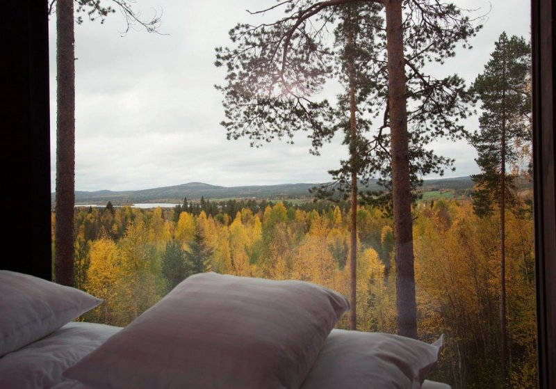 Treehotel Швеция the Dragonfly