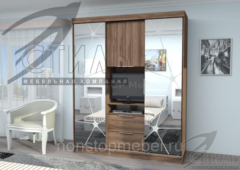 Шкаф купе TV-43 BMS