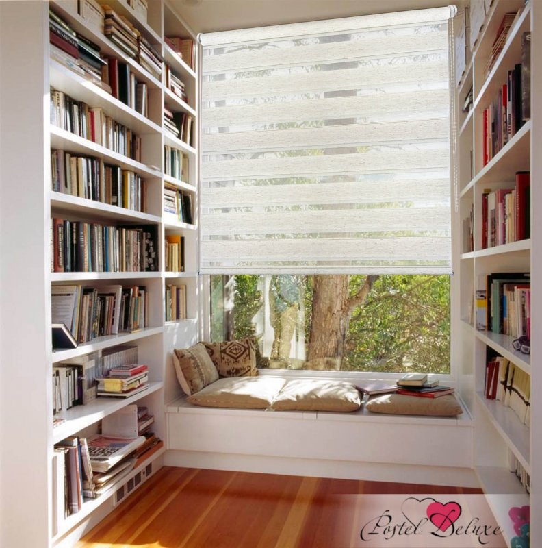 Комната с книжными полками