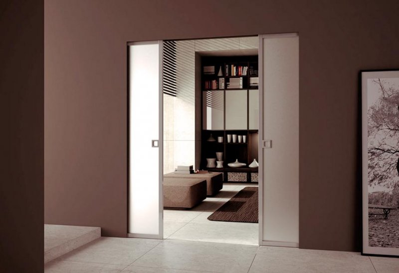 Дверь Glass Sliding Door