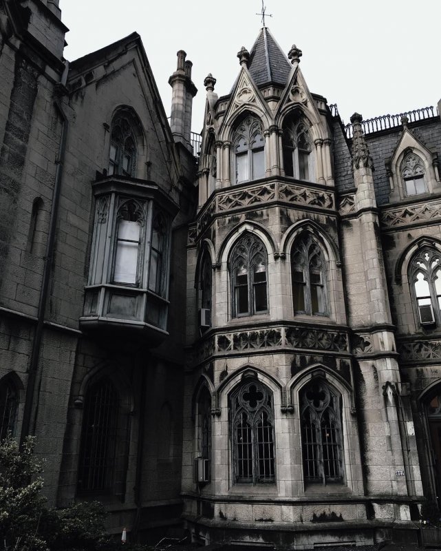 Dark Academia архитектура