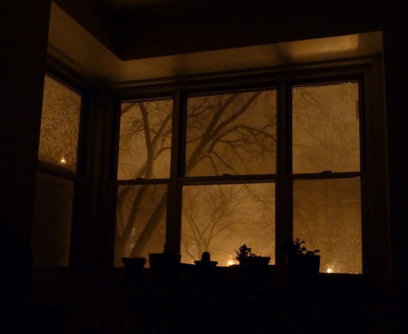 Ночное окно