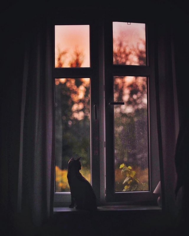 Окно ночью