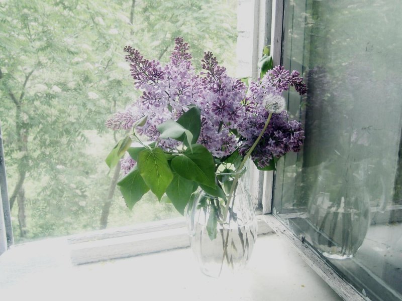 Пейзаж в окне