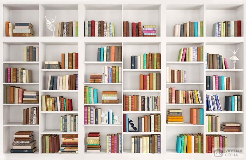 Необычные книжные полки