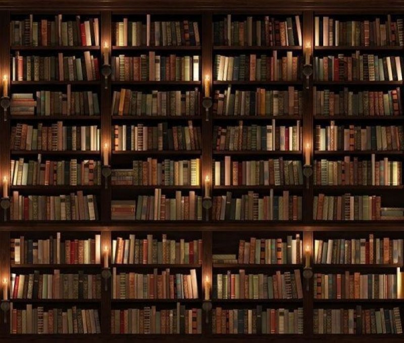 Книжные полки