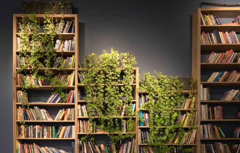 Книжный стеллаж с растениями