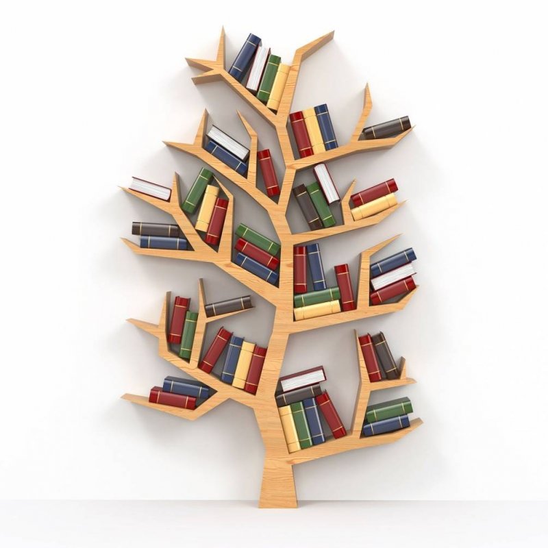 Книжные полки