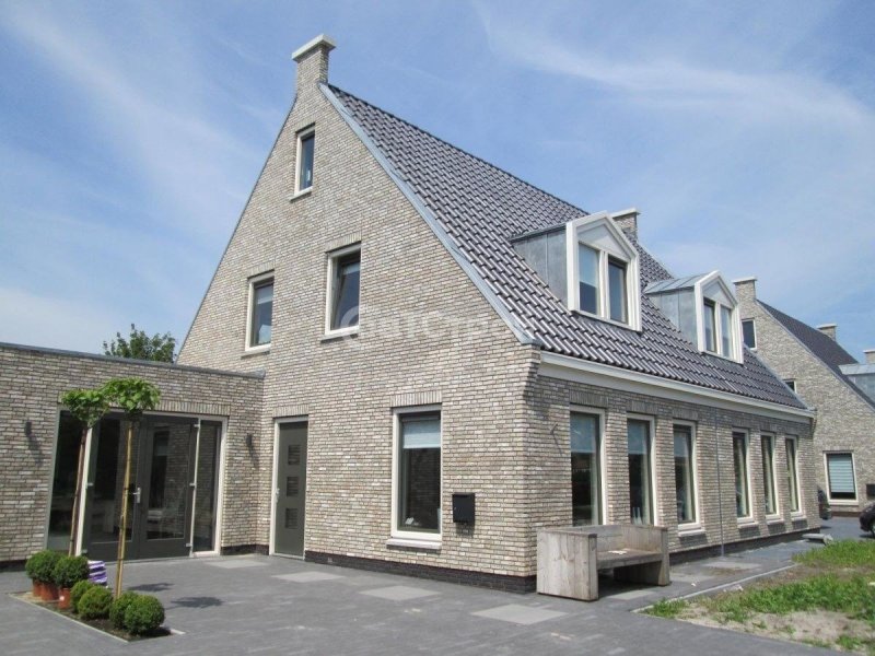 Кирпич Bronsgroen WFD 215*100*65