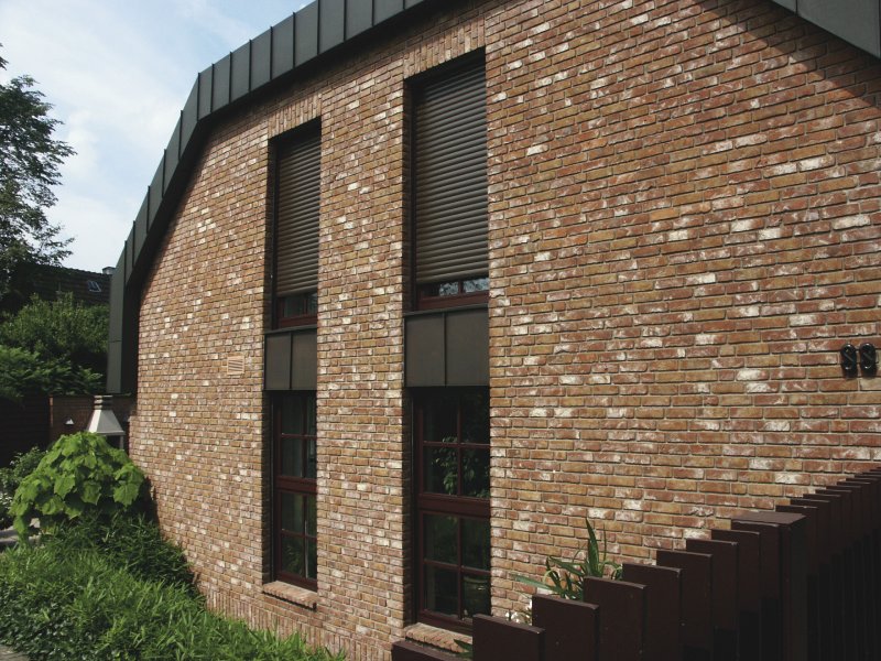 Terca Opus wf50