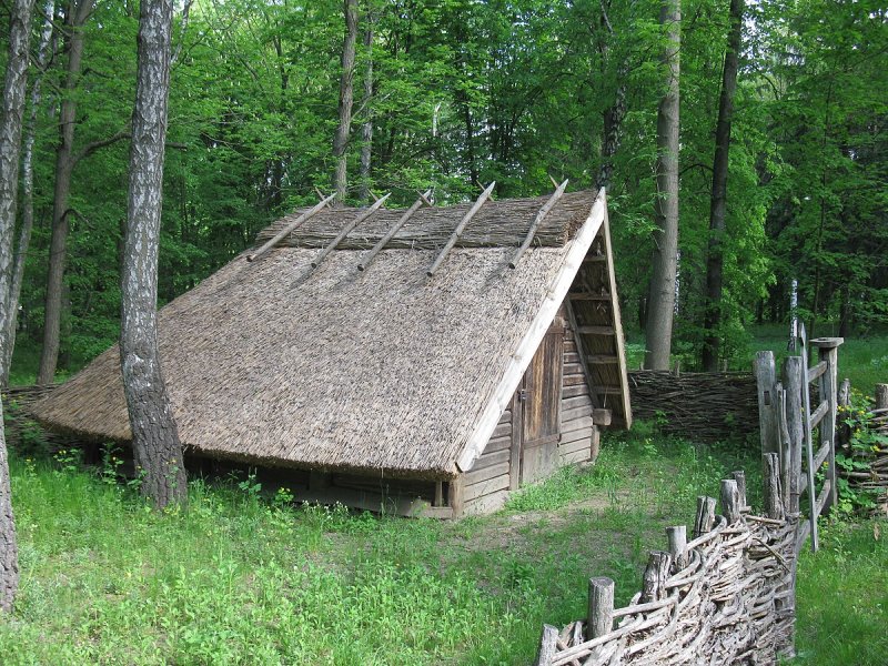Омшаник подземный