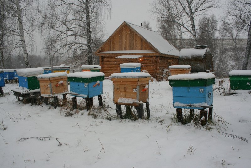 Ульи в деревне