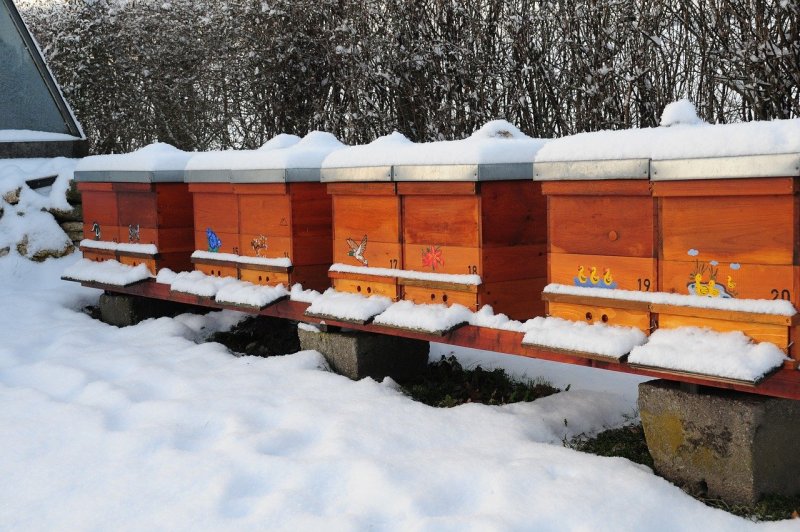 Пасека зимой на улице