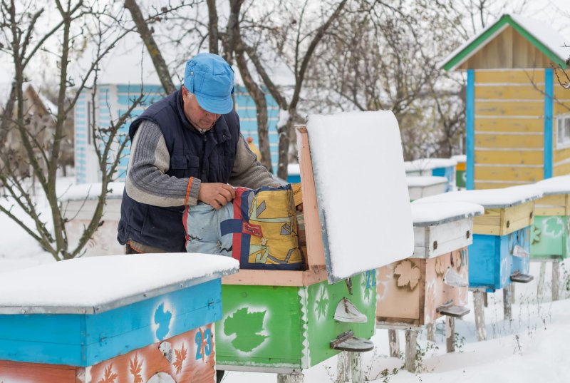 Пасека зимой