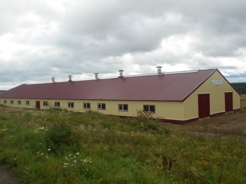 ИЖЛАЙН коровники