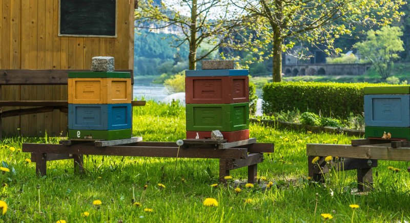 Bienenhaus улья