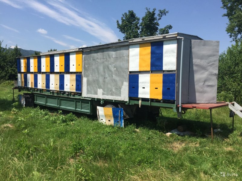 Газель пчелопавильон