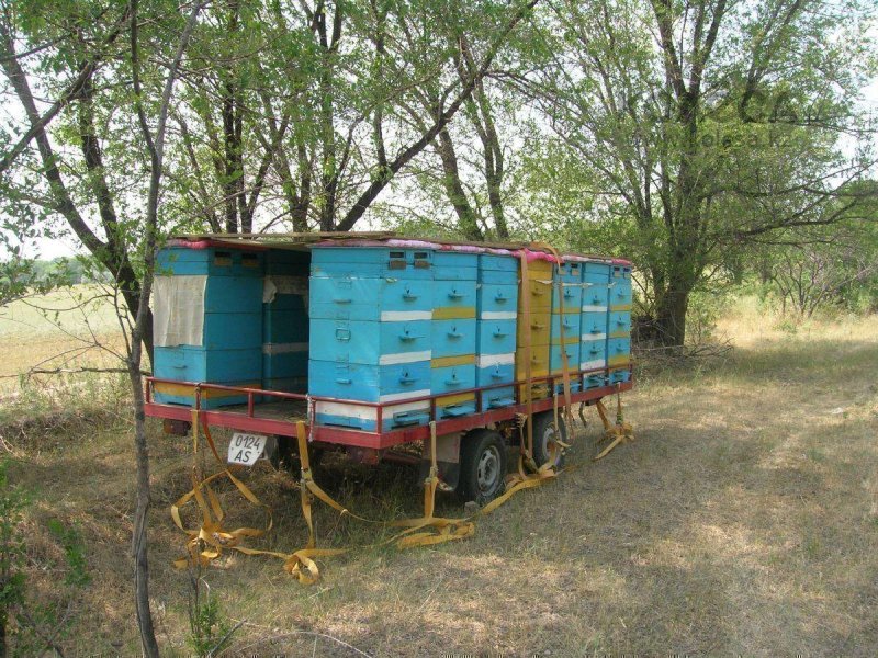 Пчелопавильон Ковчег