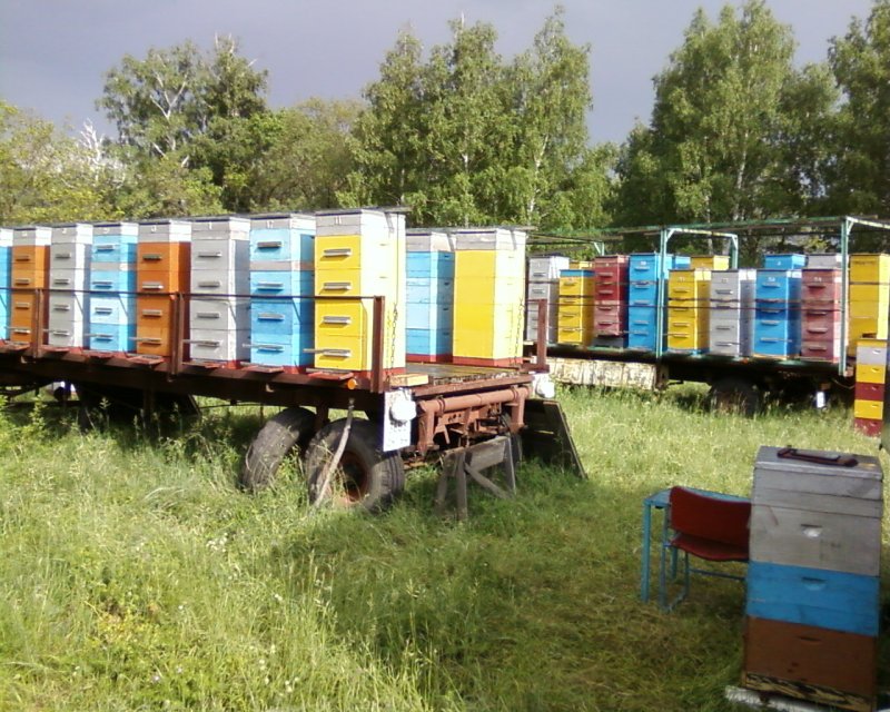 Пчелопавильон Токарева