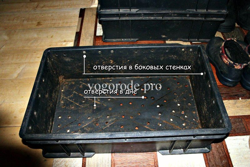 Вермиферма микро