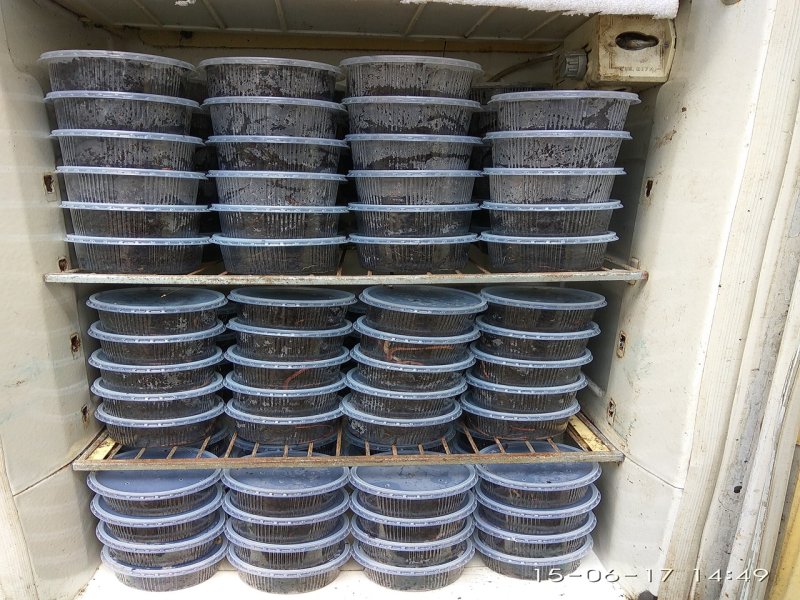Компостер Eco-worms 30 л